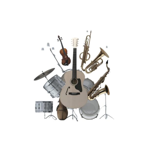 Valise pour instruments